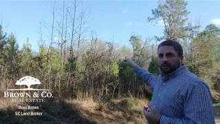 Identifying Survey Boundary Markers on Property Lines [upl. by Ahsap736]