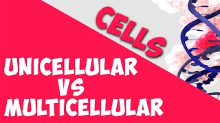 Unicellular vs Multicellular  Cells  Biology  AddyESchool [upl. by Donovan737]