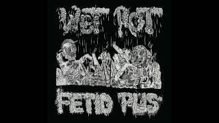 Wet Rot  Fetid Pus Full Album 2024 [upl. by Etnoj]