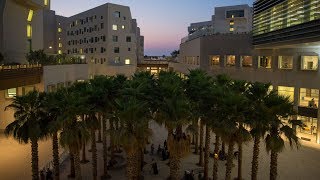 NYU Abu Dhabi Campus Tour [upl. by Iknarf890]