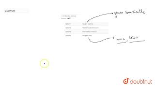 Ornithischia contains [upl. by Oiramaj]