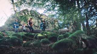 Respektvoll unterwegs im Nationalpark HunsrückHochwald [upl. by Trevar]