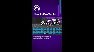 NEW IN PRO TOOLS Steinberg WaveLab Go ARA plugin — Loudness normalizer [upl. by Ancelin575]