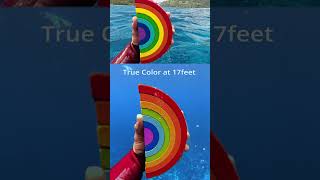 Underwater color test at 40ft12m 🎨 DJI Osmo Action 5 Pro 🎬 roamtobewild7801 [upl. by Anamor215]