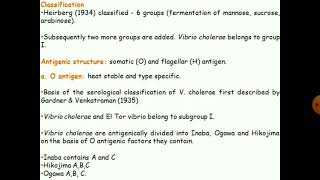 Vibrio cholerae [upl. by Macguiness576]