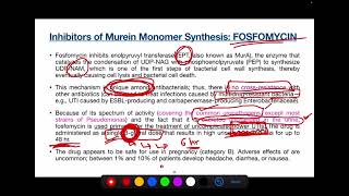 Cell Wall Synthesis Inhibitors  Fosfomycin Cycloserine and Bacitracin Antibiotics  Lecture 5 [upl. by Harriman766]