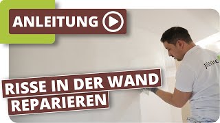 Risse in der Wand reparieren [upl. by Nyhagen]