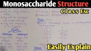 Monosaccharide Structure In Urdu Hindi  Chapter Biological Molecules  Class 11 Biology [upl. by Rodrick215]