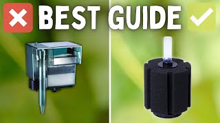 How to Choose the BEST Filter for Your Aquarium Beginner Guide [upl. by Delamare722]