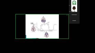 NSA Residents tutorial Capnography [upl. by Akkin]