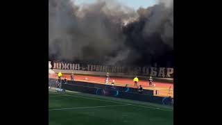 Grobari return and stopped boycott after more than a year  Partizan vs Čukarički 261024 🔥 [upl. by Eerased]