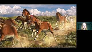 Trotting Through Time An Overview of Horse Evolution with Special Focus on NA Equus with Zoe Landry [upl. by Ashatan]