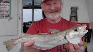 Fishing for Haddock amp Whiting 🎣🐟🐟 Aberdeenshire sea angling trips 🎣 [upl. by Robertson]