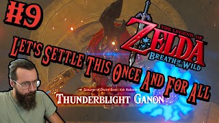 Lets Settle This Once And For All  Zelda Breath of the Wild 9 [upl. by Atekihc333]