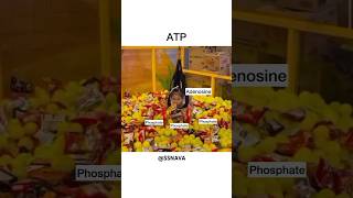 Adenosine triphosphate  ATP shorts education [upl. by Freyah]