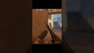 When You Embrace MonkE in Your Life csgo2 csgo cs2clip [upl. by Euqinemod]