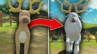 HOW TO EVOLVE STANTLER INTO WYDEER IN Pokemon Legends Arceus [upl. by Adnam546]