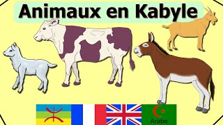 Animaux en kabyle français anglais arabe video 1 [upl. by Apurk]