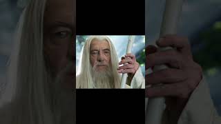 Dumbledore VS Gandalf dumbledore gandalfthegrey [upl. by Hanzelin]