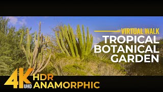 Stunning Nature of Oahu Hawaii  4K HDR Relaxing Walk in Koko Crater Botanical Garden Anamorphic [upl. by Hedveh]