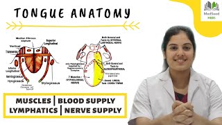 TONGUE ANATOMY2nd part Intrinsic and Extrinsic Muscles  Blood supply  Lymphatics  Nerve supply [upl. by Jared]