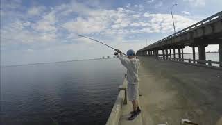 Pigfish and White Trout on Bob Sykes Fishing Pier [upl. by Sucrad]