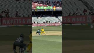 maxwell switchhit live oval cricket ground australia viralvideo viralshorts trending yt [upl. by Oznola]