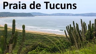 CONHECENDO PRAIA DE TUCUNS  Viagem Búzios  Ep 18 [upl. by Eseer755]