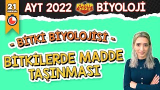 Bitkilerde Madde Taşınması  AYT Biyoloji Kamp2022 [upl. by Dib]