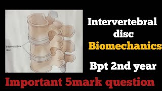 Intervertebral disc Tamil  biomechanics of spine function intervertebral disc biomechanics inதமிழ் [upl. by Donell]