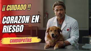 Enfermedades Cardiacas en Perros Síntomas Causas y Tratamientos [upl. by Edya]