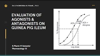 Effect of agonists and antagonists on Guinea Pig Ileum [upl. by Egnalos]