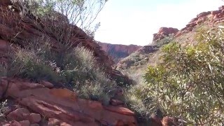 Uluru to Alice Springs via Mereenie Loop  Top 5 Places to Stay  by Fozzie [upl. by Athiste]