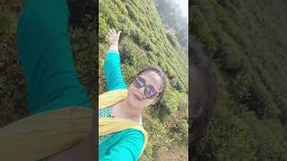 Darjeelingviral videoshortsviral shortsyoutune shortstour [upl. by Deelaw754]