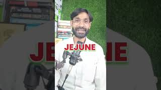 Jejune meaning zulfiqarmohammadienglish english vocabularywords vocabularylearn [upl. by Idonna462]