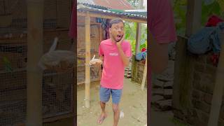 কোন বিপদ থেকে বাঁচালাম 😭🙏 কী ছিল পাখির খাবারে 😱 vlog minivlog comedy funny fun birds [upl. by Arikat]