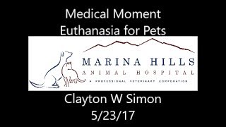 Euthanasia for Pets [upl. by Anivlek117]