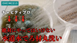 水槽の臭さに痺れを切らしアクアリウムでタブーのろ材を水道水で洗い流したらまさかの結果に？ada aquarium ネイチャーアクアリウム 熱帯魚 外部フィルターエーハイム2213 [upl. by Iclek]