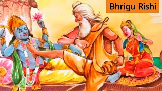 Why Rishi Bhrigu Kicked Lord Vishnu on Chest  Whos Greatest God Brahma Vishnu or Shiva [upl. by Ynohtnaleahcim]