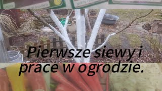 Cięcie i bielenie drzewek owocowych Pierwsze siewy Roboty w międzyczasie [upl. by Gelhar]