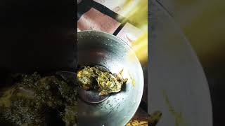 Palak paneer ytshorts food vegitariandish cooking recip palakpaneer [upl. by Drahsar]