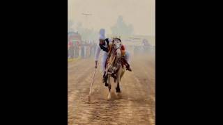 Nazabazi with Mubashar Tiwana beautifulhorses horse pakistan punjab youtube youtubeshorts [upl. by Lebaron611]