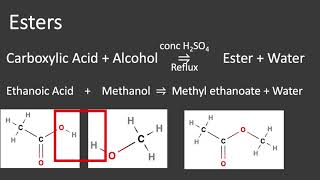 Carboxylic Acids and Esters [upl. by Krall]