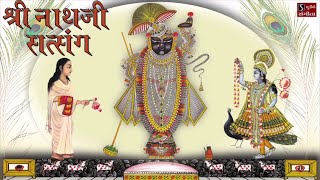 Shrinathji Satsang  Top 20 Songs  Beautiful Collection of Most Popular Shrinathji Songs [upl. by Anoynek]