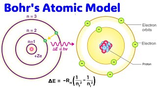 Bohrs Atomic Model  Atomic Structure atomicstructure bohratomicmodel bohr physics [upl. by Goran889]