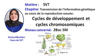 Les chromosomes et lADN  observations microscopiques  SVT  3e  les Bons Profs [upl. by Polash867]