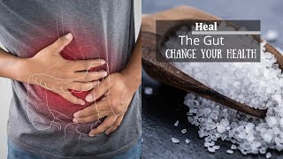 MSM Heal Your Gut  Change Your Health [upl. by Ammann]