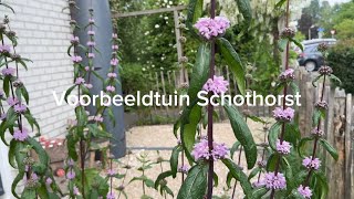 Voorbeeldtuin Schothorst [upl. by Lennox80]