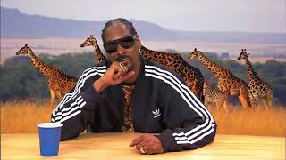 HILARIOUS Snoop Dogg narrates Animal Planet Documentary [upl. by Eiramlatsyrk]