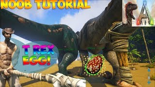 ARK SURVIVAL EVOLVED TREX EGG HATCHING HOW TO HATCH EGGS TIMELAPSE [upl. by Anilemrac]